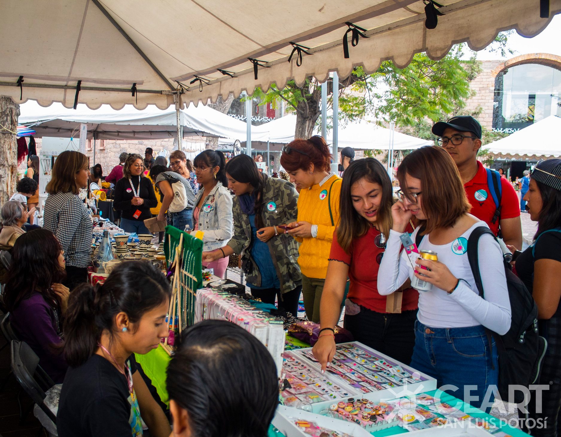 MERCADILLO CEARTSLP_ARCHIVO 2019.jpg