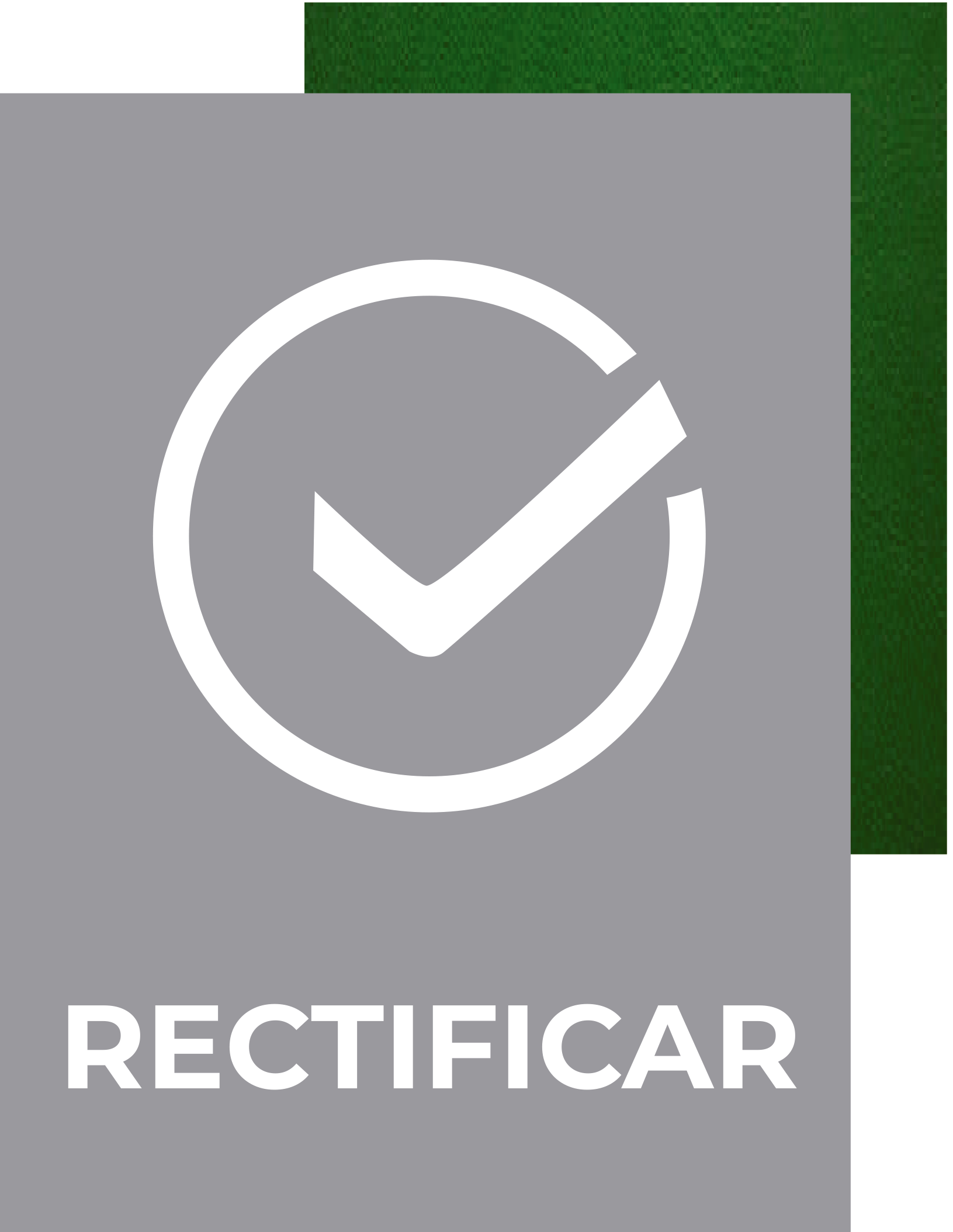 rectificar.png