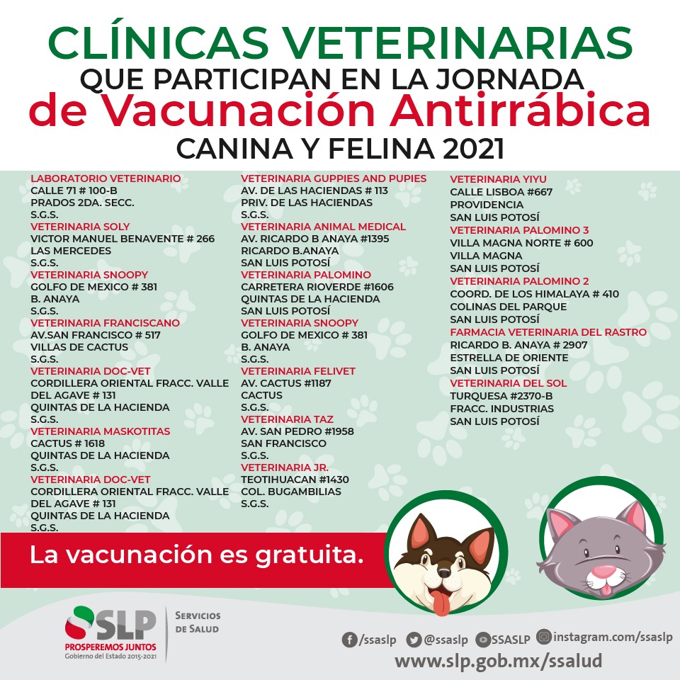 Seremi de Salud realizó operativo de vacunación antirrábico para mascotas en  Padre Las Casas